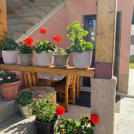 Apartmán Apartman Kaljevic Žabljak Exteriér fotografie