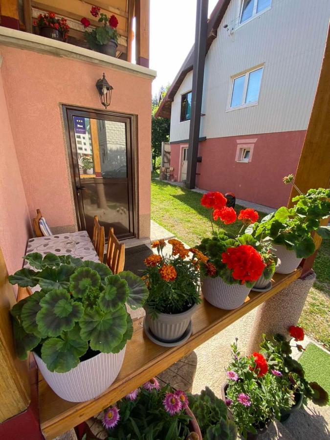Apartmán Apartman Kaljevic Žabljak Exteriér fotografie